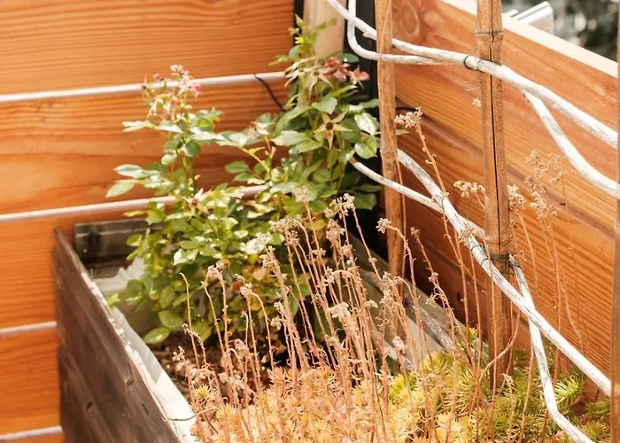 Pour 13 Personnes Avec Terrasse & Barbecue * 丰罗穆